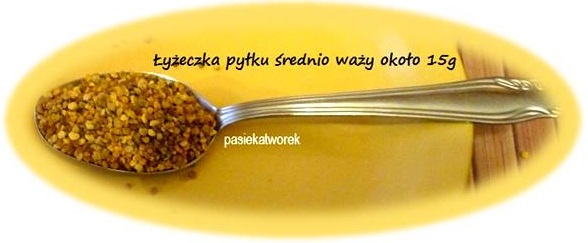 pylek